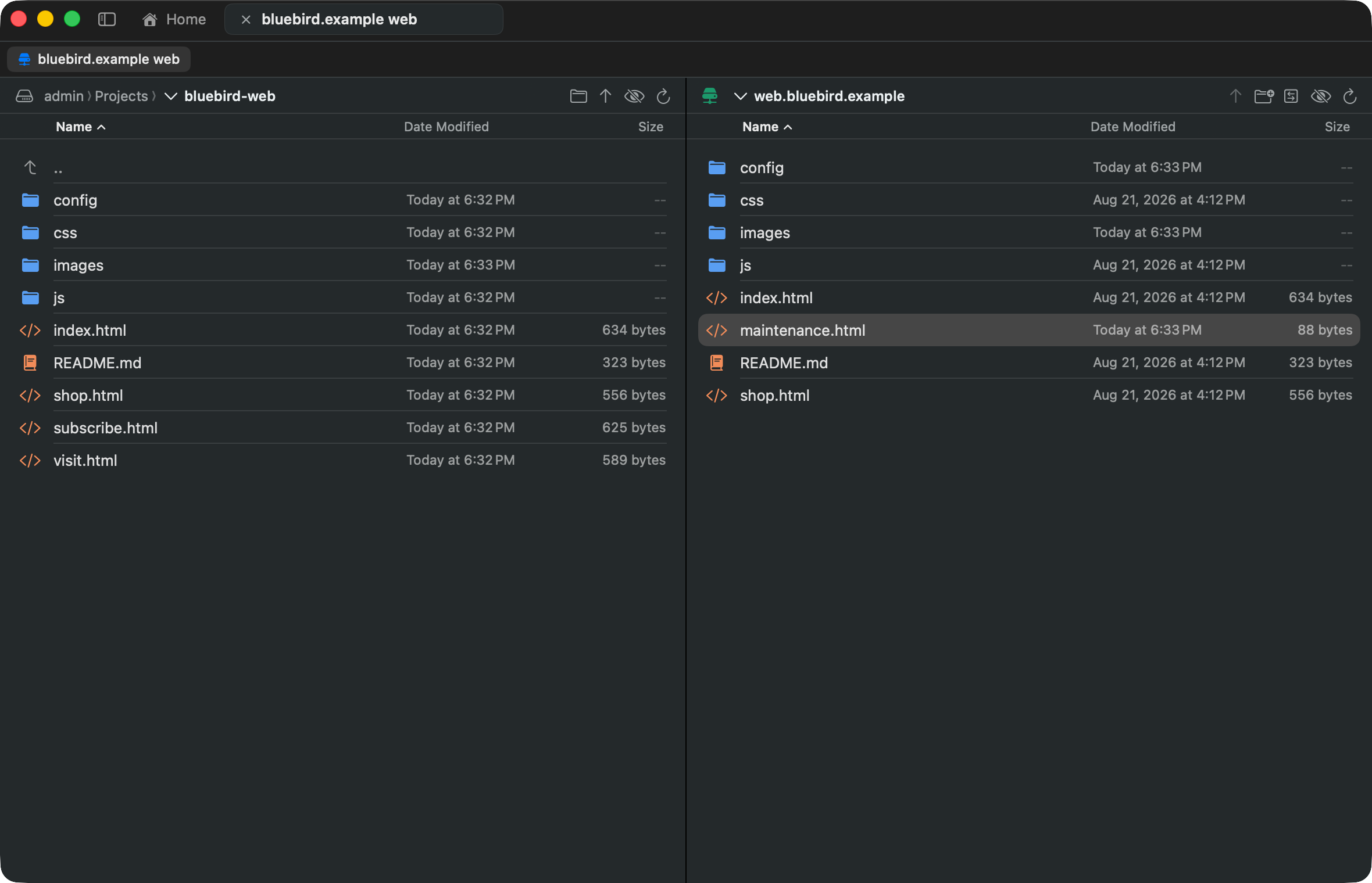 The two-pane browser: a local project folder on the left and the same site on the web server over SFTP on the right
